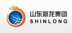 山东新龙集团